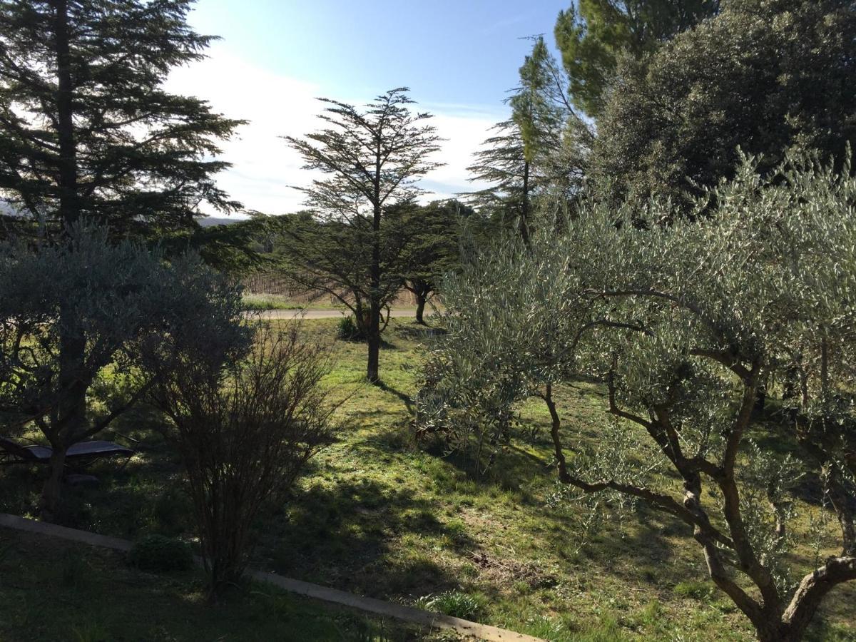 Maison Calme Beaumes-de-Venise Kültér fotó